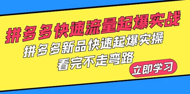 拼多多-快速流量起爆实战，拼多多新品快速起爆实操，看完不走弯路-小小小弦