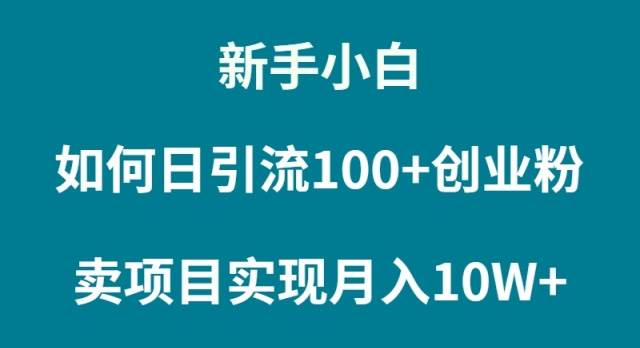 新手小白如何通过卖项目实现月入10W+-小小小弦