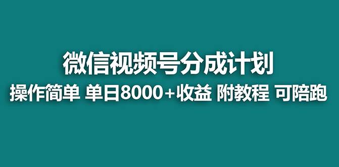 【蓝海项目】视频号分成计划，单天收益8000+，附玩法教程！可陪跑-小小小弦