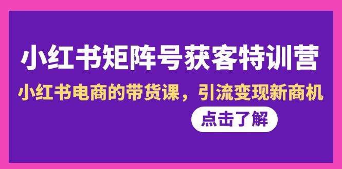 小红书-矩阵号获客特训营-第10期，小红书电商的带货课，引流变现新商机-小小小弦