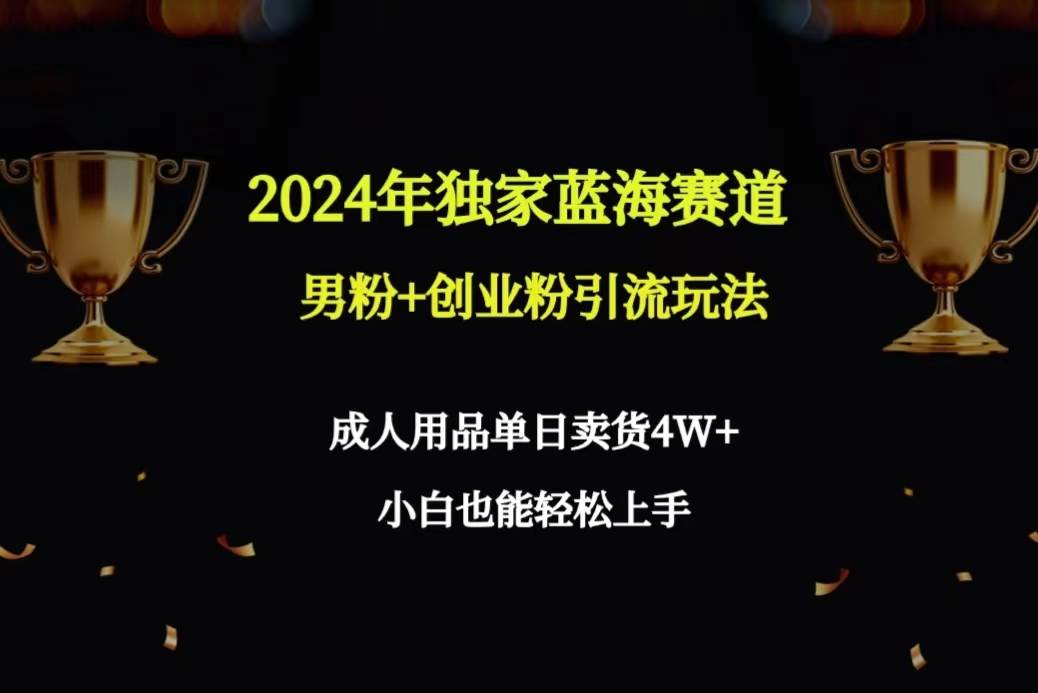 2024年独家蓝海赛道男粉+创业粉引流玩法，成人用品单日卖货4W+保姆教程-小小小弦