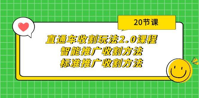 直通车收割玩法2.0课程：智能推广收割方法+标准推广收割方法（20节课）-小小小弦