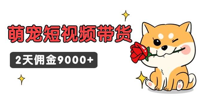 东哲日记·萌宠短视频带货，2天佣金9000+-小小小弦