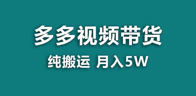 【蓝海项目】拼多多视频带货 纯搬运一个月搞了5w佣金，小白也能操作 送工具-小小小弦