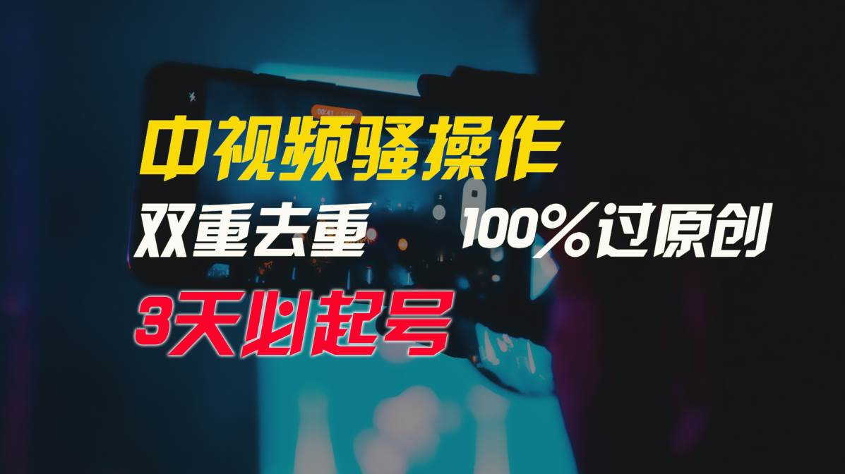 中视频骚操作，双重去重100%过原创，3天比必起号，简单无脑，月入3W+-小小小弦