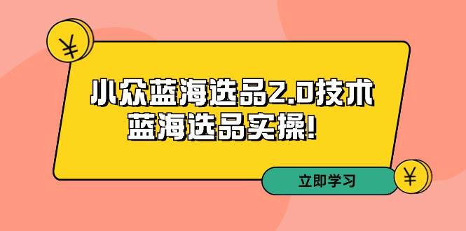 拼多多培训第33期：小众蓝海选品2.0技术-蓝海选品实操！-小小小弦