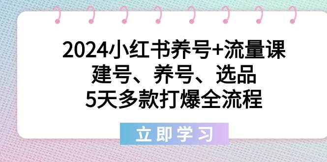 2024小红书养号+流量课：建号、养号、选品，5天多款打爆全流程-小小小弦