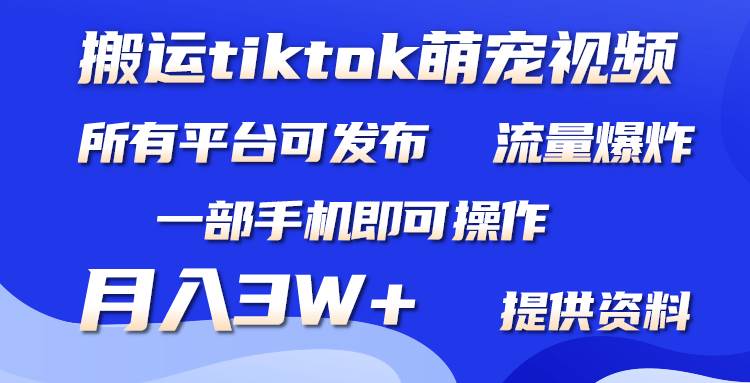 搬运Tiktok萌宠类视频，一部手机即可。所有短视频平台均可操作，月入3W+-小小小弦