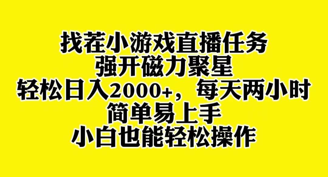 找茬小游戏直播，强开磁力聚星，轻松日入2000+，小白也能轻松上手-小小小弦