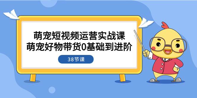 萌宠·短视频运营实战课：萌宠好物带货0基础到进阶（38节课）-小小小弦