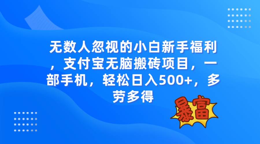 无数人忽视的项目，支付宝无脑搬砖项目，一部手机即可操作，轻松日入500+-小小小弦