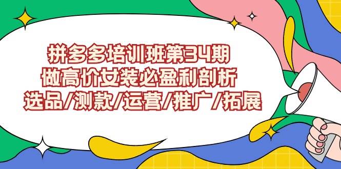 拼多多培训班第34期：做高价女装必盈利剖析  选品/测款/运营/推广/拓展-小小小弦