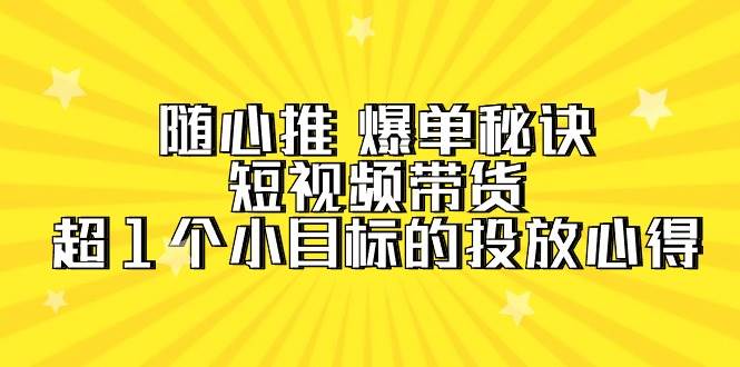 随心推 爆单秘诀，短视频带货-超1个小目标的投放心得（7节视频课）-小小小弦