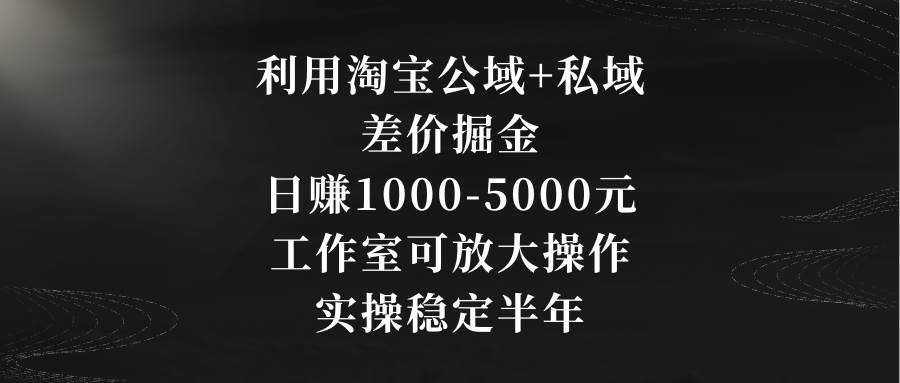 利用淘宝公域+私域差价掘金，日赚1000-5000元，工作室可放大操作，实操…-小小小弦