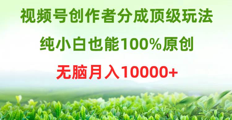 视频号创作者分成顶级玩法，纯小白也能100%原创，无脑月入10000+-小小小弦