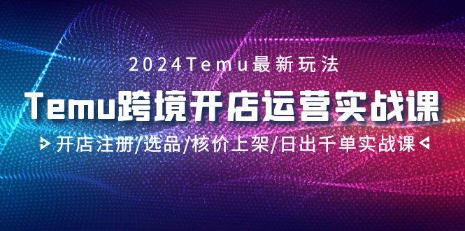 2024Temu跨境开店运营实战课，开店注册/选品/核价上架/日出千单实战课-小小小弦