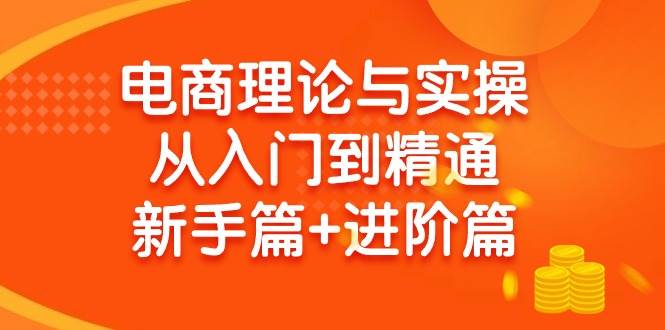 电商理论与实操从入门到精通 新手篇+进阶篇-小小小弦