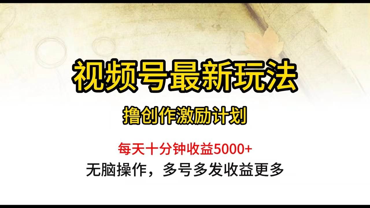 视频号最新玩法，每日一小时月入5000+-小小小弦