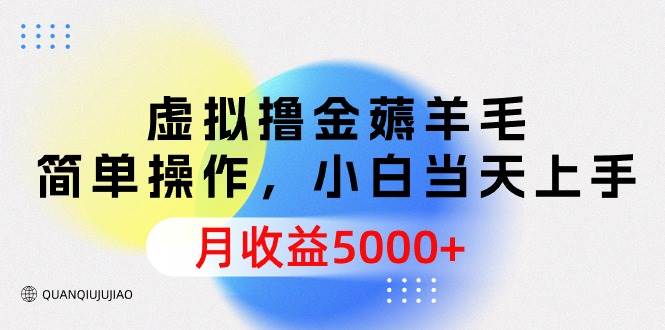 虚拟撸金薅羊毛，简单操作，小白当天上手，月收益5000+-小小小弦