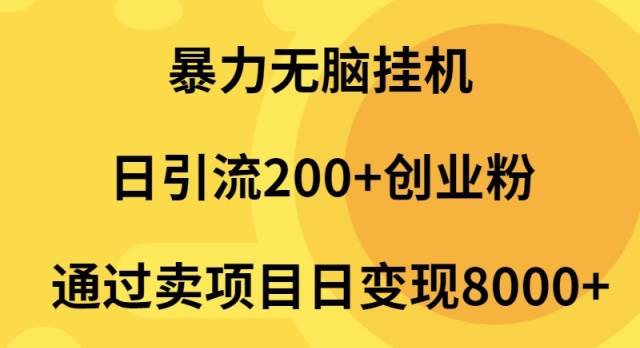 暴力无脑挂机日引流200+创业粉通过卖项目日变现2000+-小小小弦