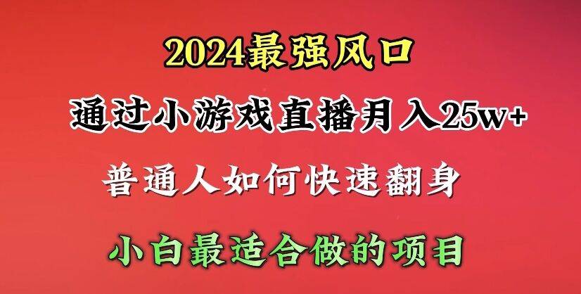 2024年最强风口，通过小游戏直播月入25w+单日收益5000+小白最适合做的项目-小小小弦