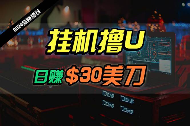 日赚30美刀，2024最新海外挂机撸U内部项目，全程无人值守，可批量放大-小小小弦