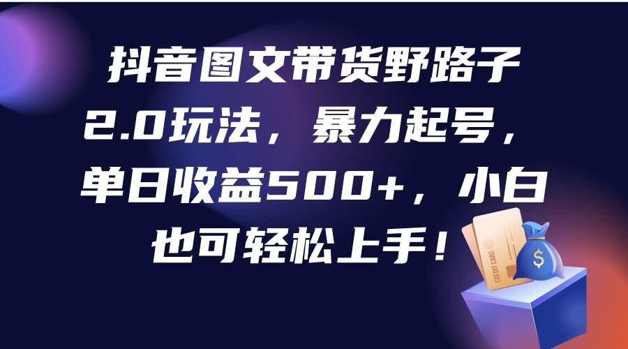 抖音图文带货野路子2.0玩法，暴力起号，单日收益500+，小白也可轻松上手！-小小小弦