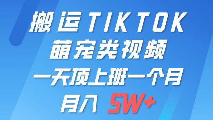 一键搬运TIKTOK萌宠类视频 一部手机即可操作 所有平台均可发布 轻松月入5W+-小小小弦