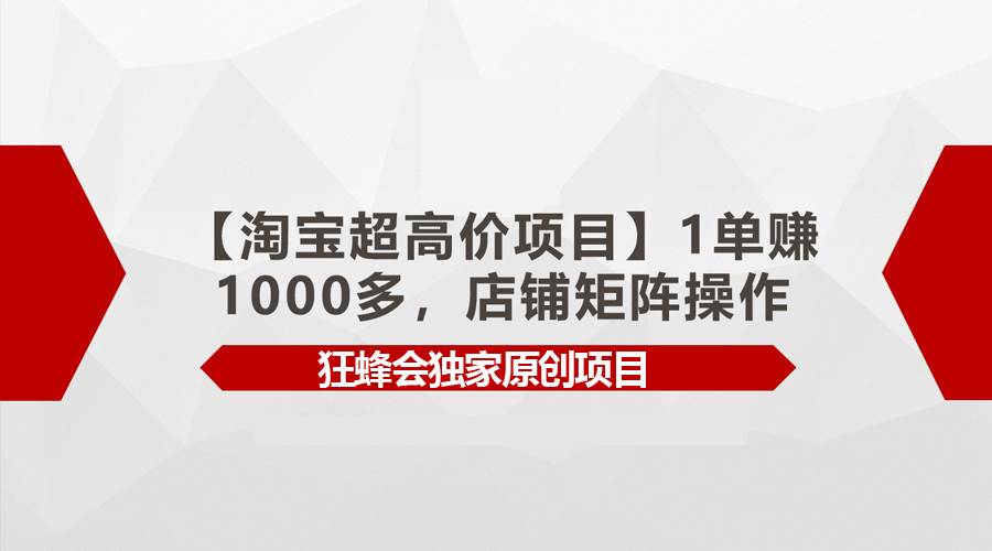 【淘宝超高价项目】1单赚1000多，店铺矩阵操作-小小小弦