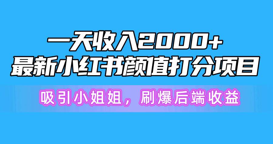 一天收入2000+，最新小红书颜值打分项目，吸引小姐姐，刷爆后端收益-小小小弦