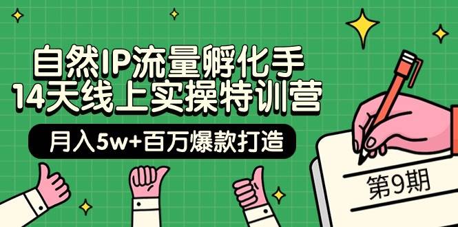 自然IP流量孵化手 14天线上实操特训营【第9期】月入5w+百万爆款打造 (74节)-小小小弦