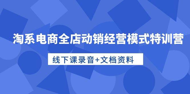 淘系电商全店动销经营模式特训营，线下课录音+文档资料-小小小弦