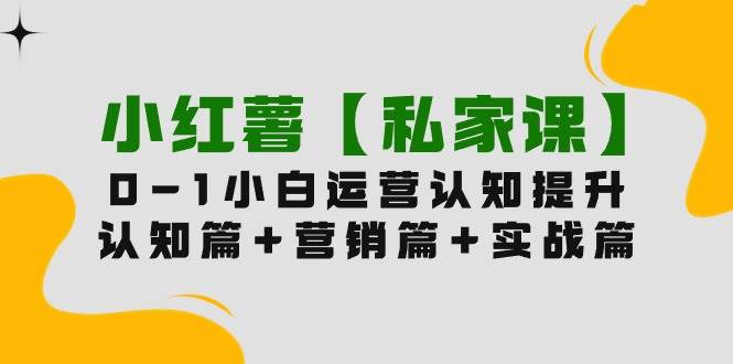 小红薯【私家课】0-1玩赚小红书内容营销，认知篇+营销篇+实战篇（11节课）-小小小弦