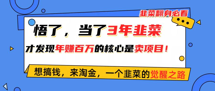 悟了，当了3年韭菜，才发现网赚圈年赚100万的核心是卖项目，含泪分享！-小小小弦