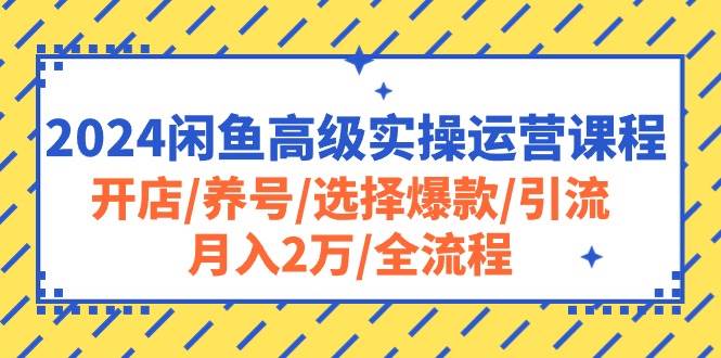 2024闲鱼高级实操运营课程：开店/养号/选择爆款/引流/月入2万/全流程-小小小弦