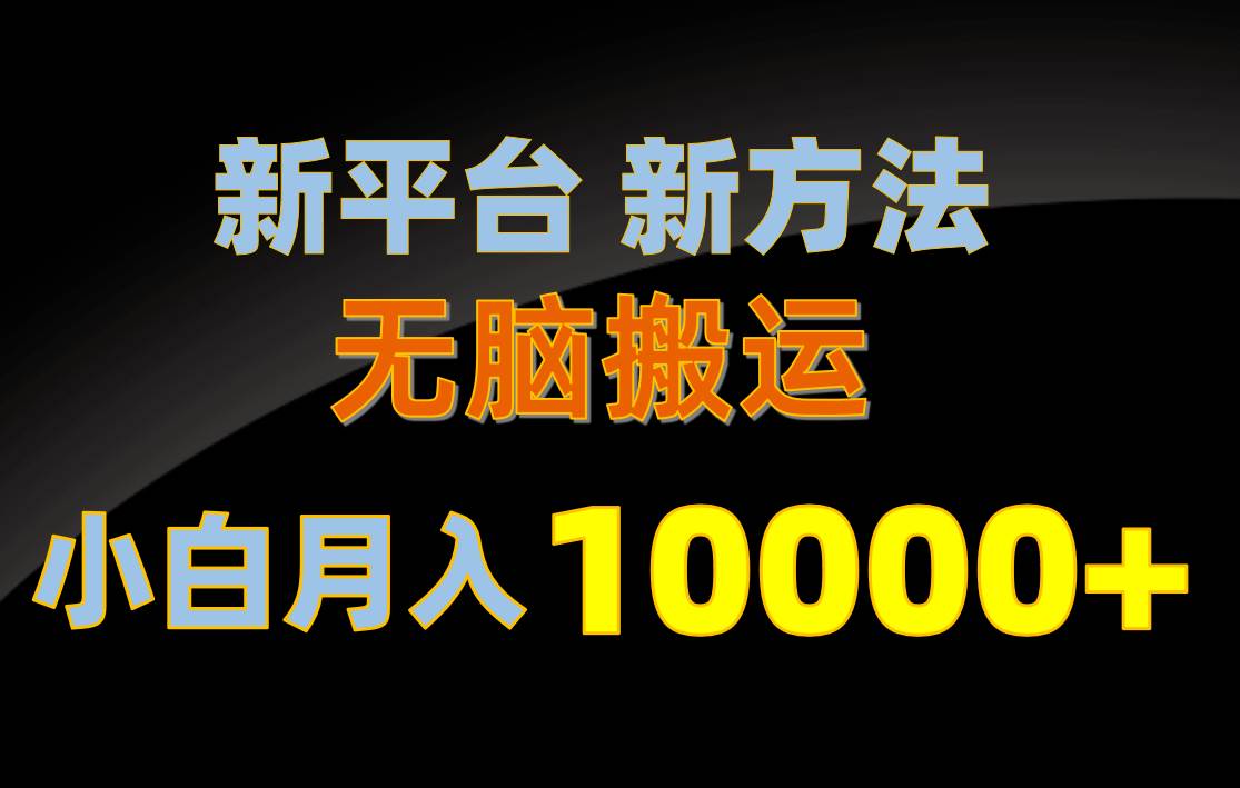 新平台新方法，无脑搬运，月赚10000+，小白轻松上手不动脑-小小小弦