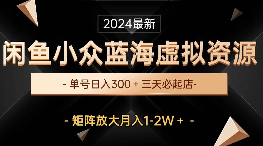 最新闲鱼小众蓝海虚拟资源，单号日入300＋，三天必起店，矩阵放大月入1-2W-小小小弦