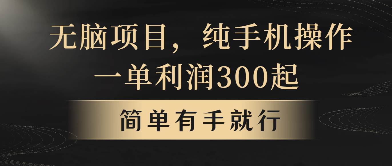 无脑项目，一单几百块，轻松月入5w+，看完就能直接操作-小小小弦