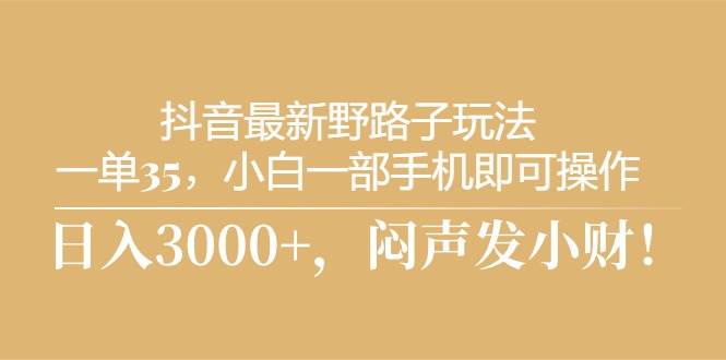 抖音最新野路子玩法，一单35，小白一部手机即可操作，，日入3000+，闷…-小小小弦