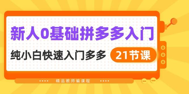 新人0基础拼多多入门，纯小白快速入门多多（21节课）-小小小弦