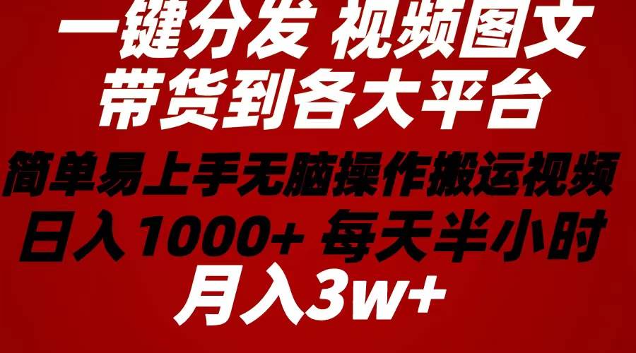 2024年 一键分发带货图文视频  简单易上手 无脑赚收益 每天半小时日入1…-小小小弦