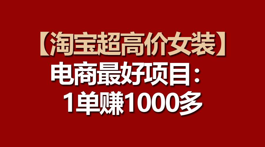 【淘宝超高价女装】电商最好项目：一单赚1000多-小小小弦