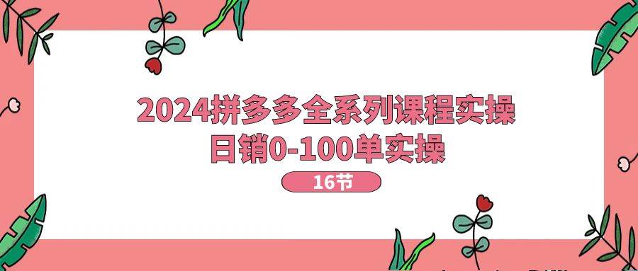 2024拼多多全系列课程实操，日销0-100单实操【16节课】-小小小弦