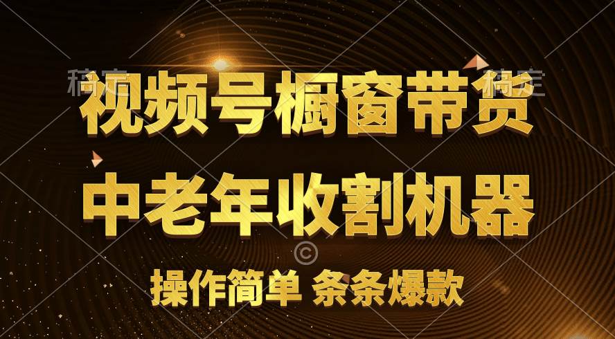 [你的孩子成功取得高位]视频号最火爆赛道，橱窗带货，流量分成计划，条…-小小小弦