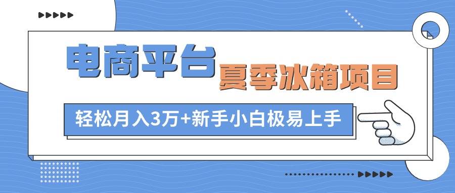 电商平台夏季冰箱项目，轻松月入3万+，新手小白极易上手-小小小弦