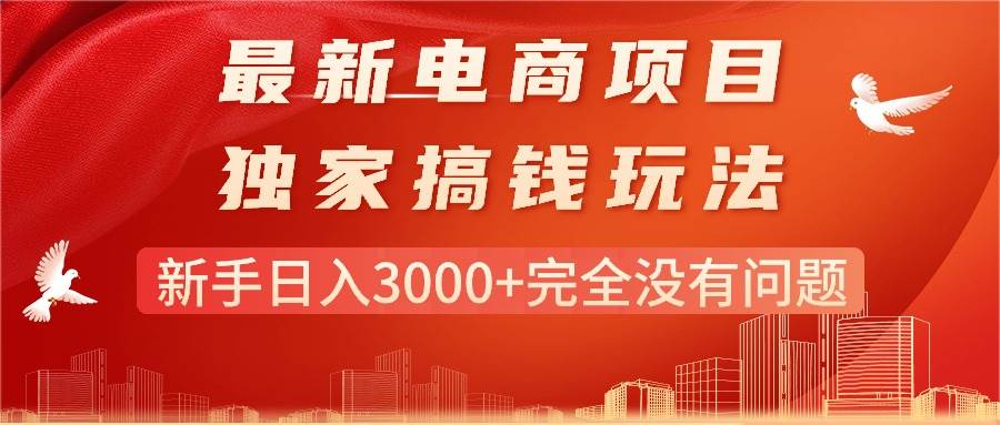 最新电商项目-搞钱玩法，新手日入3000+完全没有问题-小小小弦