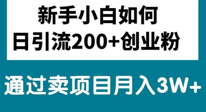 新手小白日引流200+创业粉,通过卖项目月入3W+-小小小弦