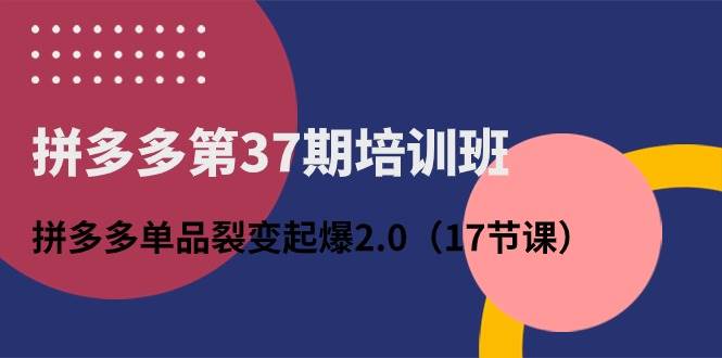 拼多多第37期培训班：拼多多单品裂变起爆2.0（17节课）-小小小弦