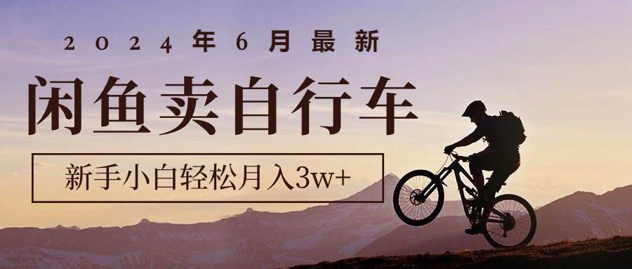 2024年6月最新闲鱼卖自行车，新手小白轻松月入3w+项目-小小小弦