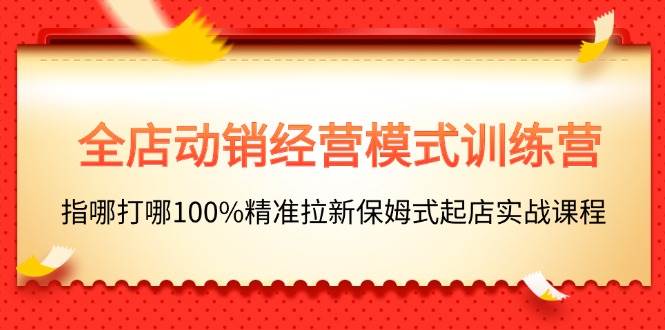 全店动销-经营模式训练营，指哪打哪100%精准拉新保姆式起店实战课程-小小小弦